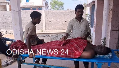 ସାପ କାମୁଡ଼ାରେ ଚାଷୀ ମୃତ