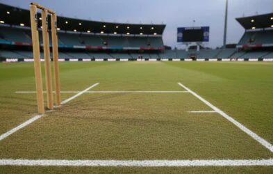How Many Creases Are There In Cricket?