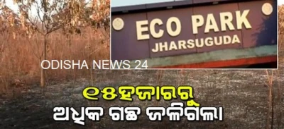 ୧୫ହଜାରରୁ ଅଧିକ ଗଛ ଜଳିଗଲା