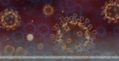 ఎబోలా వైరస్‌ ను ఎదుర్కోవడానికి సిద్ధం: యూఏఈ