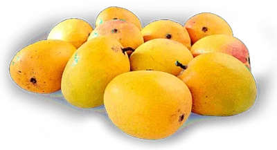 शहरात 8 मेपासून आंबा प्रदर्शन