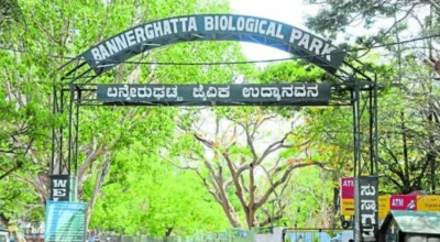 BENGALURU: ಬನ್ನೇರುಘಟ್ಟ ಜೈವಿಕ ಉದ್ಯಾನವನಕ್ಕೆ ಹರಿದುಬಂತು ಕೋಟಿ ಕೋಟಿ ಆದಾಯ