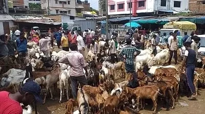 Decades-old goat market in Varanasi sealed ahead of Bakrid, sparks protest