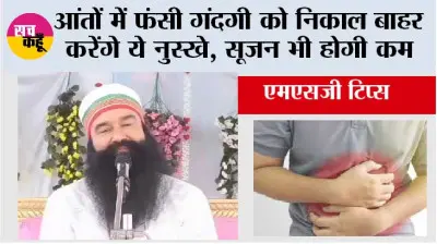 Tips to clean intestine: आंतों में फंसी गंदगी को निकाल बाहर करेंगे ये नुस्खे, सूजन भी होगी कम