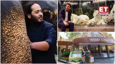 Maharashtra to send 50 leopards to Vantara: Can the public visit Anant Ambani's wildlife rescue centre in Jamnagar? Location, facilities, animals and more