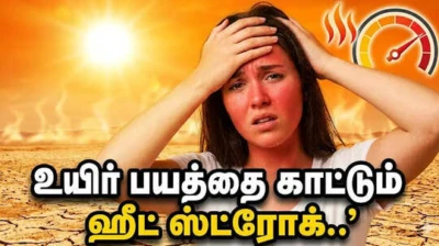 Heat Stroke: கோடை வெயிலில் உயிர் பயத்தை காட்டும் ஹீட் ஸ்ட்ரோக்...எதனால் வருகிறது? தடுப்பது எப்படி? சிகிச்சை என்ன? முழு விவரம்!