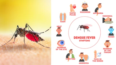 National Dengue Day 2026: India Reports 6,927 Cases And 10 Deaths In 2026