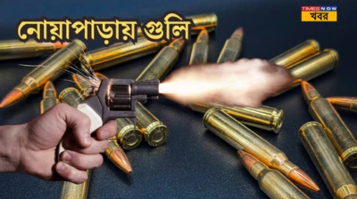 West Bengal Assembly Election 2026: ফল প্রকাশের আগেই চরম উত্তেজনা! নোয়াপাড়ায় বিজেপি নেতার বাড়ি লক্ষ্য করে চলল গুলি, পুলিশের জালে ২