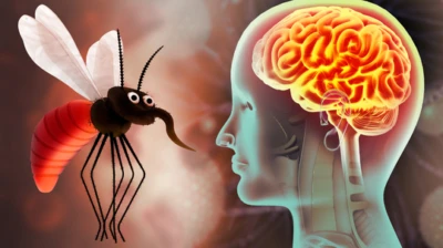 Severe Childhood Malaria May Impair Brain's Cognitive Functions, Shows Study