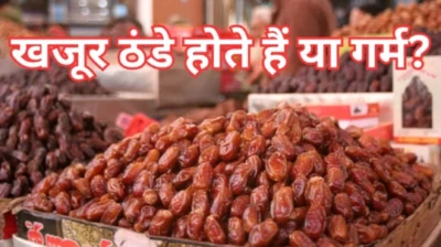 खजूर गर्म होते हैं या ठंडे? 92% लोगों से यहां हो जाती है चूक, आयुर्वेदाचार्य ने बताया सेवन का सही तरीका''