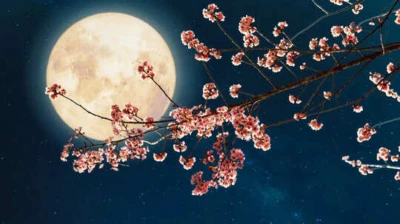 Magh Purnima 2026: Simple Rituals You Must Perform Tonight to Attract Abundance and Prosperity