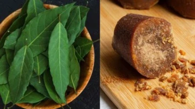 गुढीपाडव्याला कडुलिंब आणि गूळ का खातात?