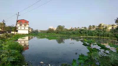 Guwahati's Wetlands on the Fast Track to Extinction
