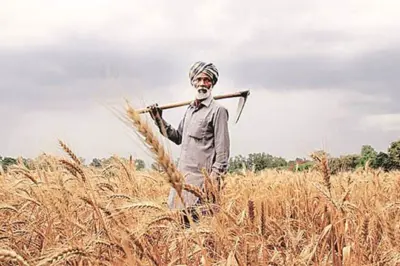 कृषि वैज्ञानिकों ने किसानों को दी ये विशेष सलाह