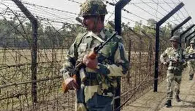 Solar Fence Along India-Bhutan Border Mitigates Human-elephant Conflict