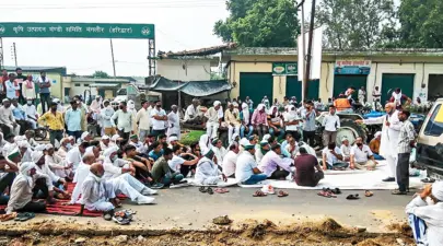 New Laws Won't Protect Farmers, Consumers