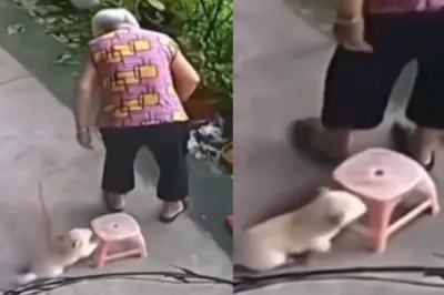 Animal Viral Video: Dog's Wholesome Gesture to Help the Old Lady Wins Hearts Online; WATCH