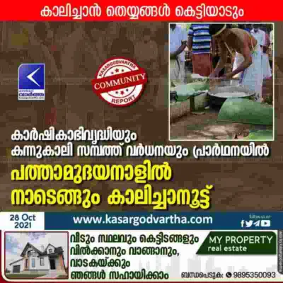 കാര്ഷികാഭിവൃദ്ധിയും കന്നുകാലി സമ്ബത്ത് വര്ധനയും പ്രാര്ഥനയില്; പത്താമുദയനാളില് നാടെങ്ങും കാലിച്ചാനൂട്ട്