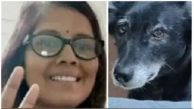 ഉടമസ്ഥ മരിച്ചു; സങ്കടം സഹിക്കാന് വയ്യാതെ വളര്ത്തുപട്ടി ആത്മഹത്യ ചെയ്തു