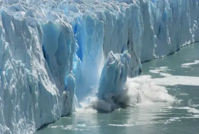 The government set up a high-level committee to implement the Paris Agreement