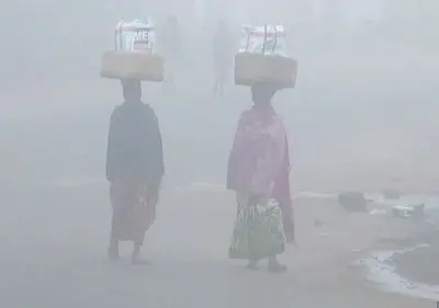 వణికిస్తున్న చలి..!