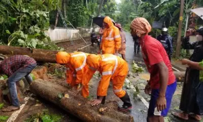 കാറ്റില് മരംവീണ് ഗതാഗതം തടസ്സപ്പെട്ടു