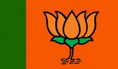 पुण्यात भाजपसाठी धोक्याची घंटा; 'या' कारणामुळे नगरसेवकांवर ठेवला जातोय वॉच?