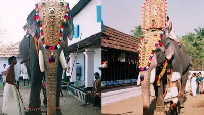 ഗജരാജ രത്നം ഗുരുവായൂര് പത്മനാഭന് ചരിഞ്ഞു