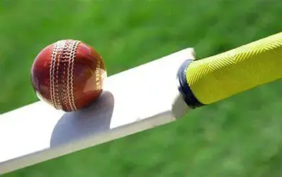 Top 10 Best Cricket Bats For Leather Balls | Have A Go At The Bowlers