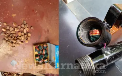 ಕೃಷಿಕರಿಗೆ ವರದಾನ ಈ ನಾರಾಯಣ ಬೆಡಿ!