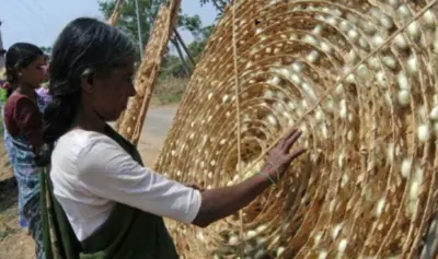 ಚೀನ ರೇಷ್ಮೆಗೆ ಕಡಿವಾಣ, ರೈತರಿಗೆ ವರ?