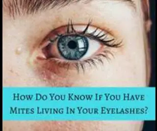 All you have to know about lash extensions