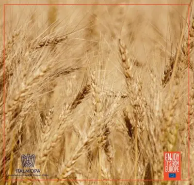 Pure Flour: Healthy and Delicious