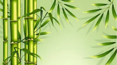 തിരഞ്ഞെടുപ്പ് കാലം 'പച്ചപിടിക്കും'