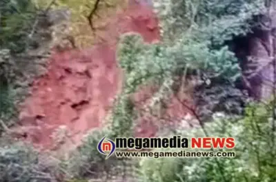 ಜಲಪಾತದ ವೀಕ್ಷಣೆಗೆ ಹೋಗಿದ್ದ ಯುವಕ ಮಣ್ಣಿನಡಿ ಸಿಲುಕಿ ನಾಪತ್ತೆ