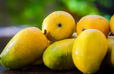 ಶುಗರ್ ಇದ್ದವರು 'ಮಾವಿನ ಹಣ್ಣು' ತಿನ್ಬೋದಾ.? ತಿಂದ್ರೆ ಏನಾಗುತ್ತೆ.? ಮಹತ್ವದ ಮಾಹಿತಿ ಇಲ್ಲಿದೆ.!