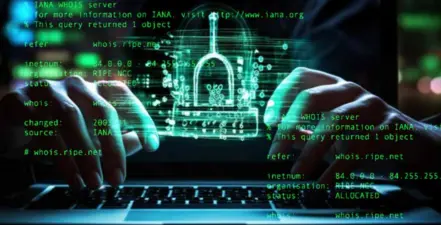The Intersection of Whois Databases and Personal Privacy Rights