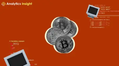 Top Programming Languages for Cryptography in 2024