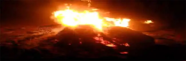 వరంగల్ జిల్లాలో దారుణం