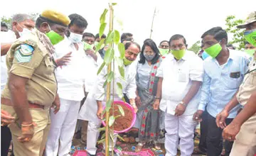 నిరంతర నిఘాతో కలప స్మగ్లింగ్కు అడ్డుకట్ట- అల్లోల