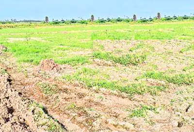 సాదాబైనామాలపై త్వరలో ప్రభుత్వం మార్గదర్శకాలు !