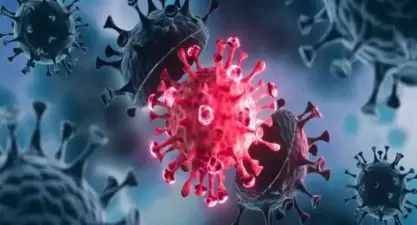 తెలంగాణలో మళ్లీ పెరుగుతున్న కరోనా కేసులు