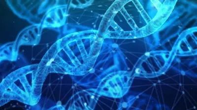 People with tails? No, because of this ancient genetic mutation