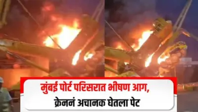 मुंबई पोर्ट परिसरात भीषण आग, कार्गो उचलताना क्रेननं अचानक घेतला पेट, दोन्ही ऑपरेटर गंभीर जखमी