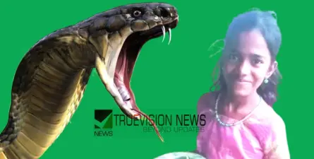 പാമ്പ് കടിച്ചത് വീടിനുള്ളില്വെച്ച്; നെന്മാറയില് മൂര്ഖന്റെ കടിയേറ്റ ഏഴാം ക്ലാസുകാരി ചികിത്സയിലിരിക്കെ മരിച്ചു