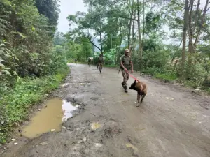 Three killed in Kangpokpi village attack; Manipur CM condoles deaths