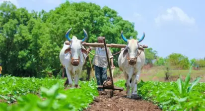 అన్నదాతలను కలవరపెడుతున్న వానాకాలం