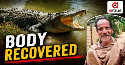 Crocodile Attack Victim's Body Recovered After Two Days In Odisha's Kendrapada District