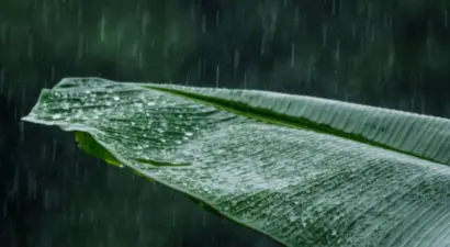 സംസ്ഥാനത്ത് കാലവര്ഷം ഇന്നെത്തിയേക്കും; തിരുവനന്തപുരം മുതല് തൃശൂര് വരെയുള്ള എട്ട് ജില്ലകളില് ഓറഞ്ച് അലേര്ട്ട്