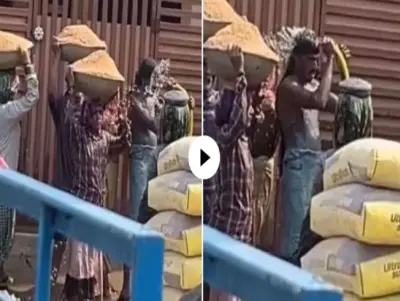 'पापी पेट का सवाल'; कड़ी धुप से खुद को बचाने के लिए मजदूरों ने जो किया... VIDEO देख आपकी आँखों में भी आ जाएंगे आंसू
